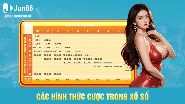 Những kiểu cược có trong trò chơi xổ số Keno