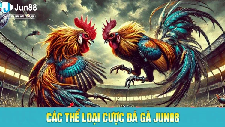 Các thể loại chọi gà nổi bật tại nền tảng Jun88