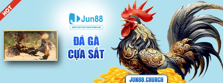 Đá gà cựa sắt