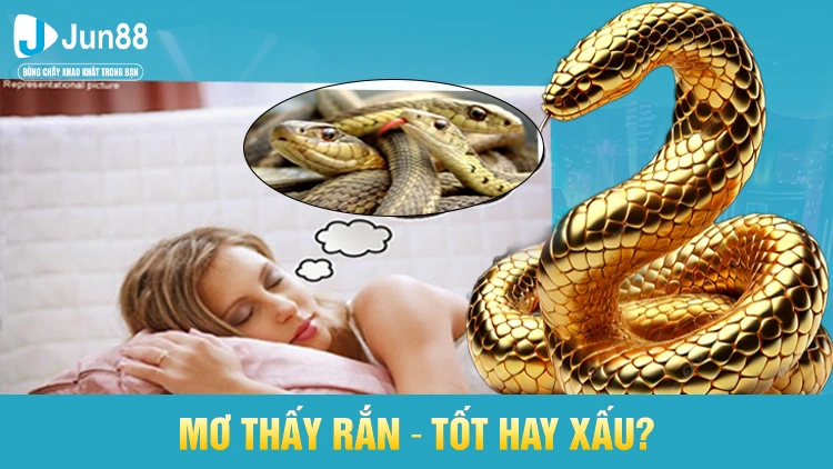 Con số nào may mắn khi mơ thấy rắn?