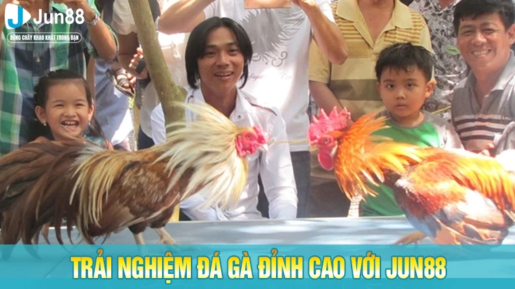 Trải nghiệm đá gà trực tuyến đỉnh cao cùng Jun88